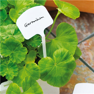 Good Life Plant T Labels